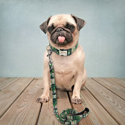 Colorful Abstract Personalised Dog Collar/Leash