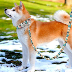 Folk Style Personalized Dog Collar