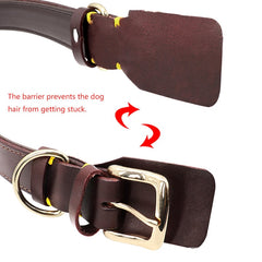 Handle Design Leather Custom Id Dog Collar