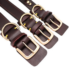 Handle Design Leather Custom Id Dog Collar