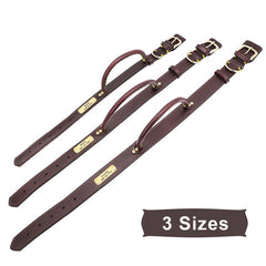 Handle Design Leather Custom Id Dog Collar