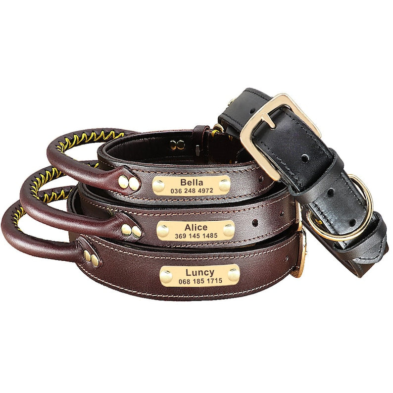 Handle Design Leather Custom Id Dog Collar