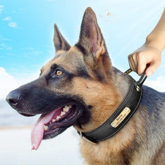 Handle Design Leather Custom Id Dog Collar