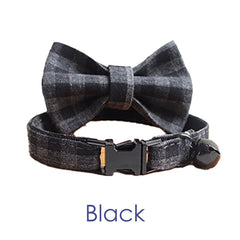 Plaid Design Personalized Tiny Dog Collar Set