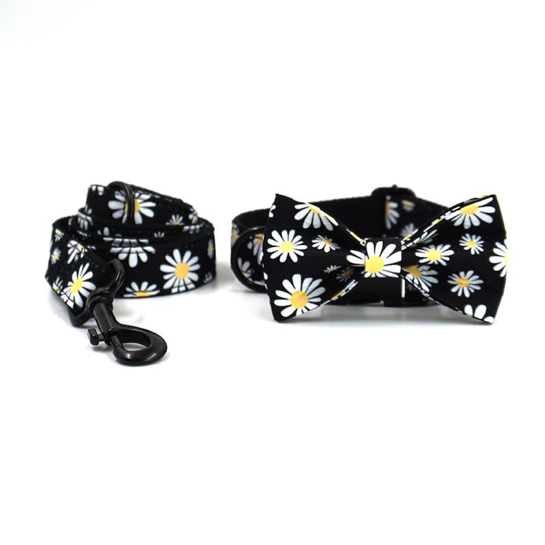 Personalised Black Daisy Custom Dog Collar Combo Set