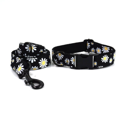 Bow Tie Personalised Black Daisy Dog Collar Set