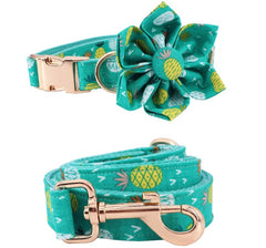Pineapple Custom Dog Collar lead set