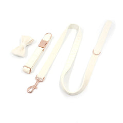 Free Name Engraved Dog Collar Set