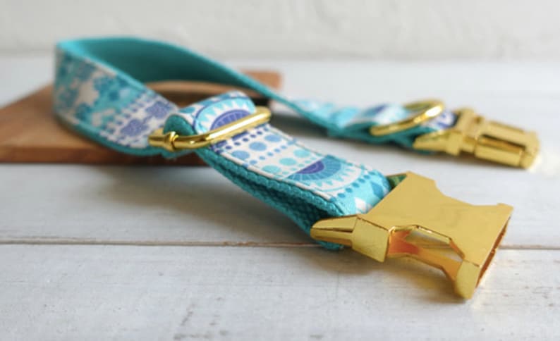BLUE DECO Dog Collar Custom Combo
