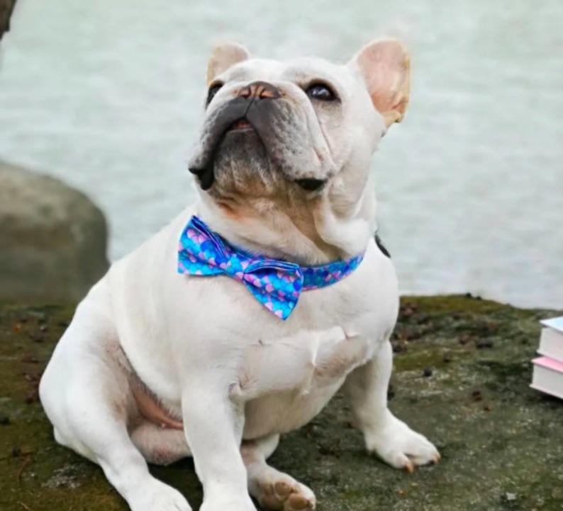 Personalised Mermaid Bow Tie Dog Collar Set