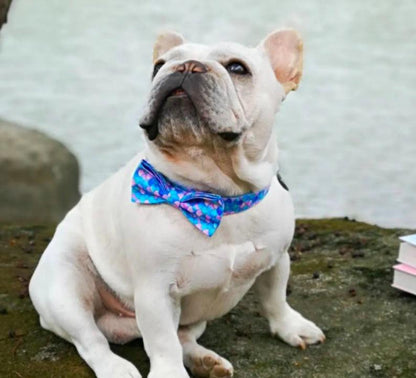 Personalised Mermaid Bow Tie Dog Collar Set