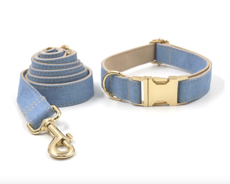 Light Jean Personalised Dog Collar Combo