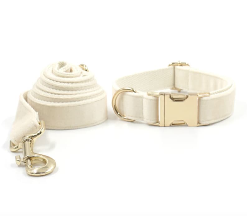 Cream White Dog Matching Combo Set