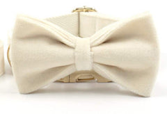 Cream White Dog Matching Combo Set
