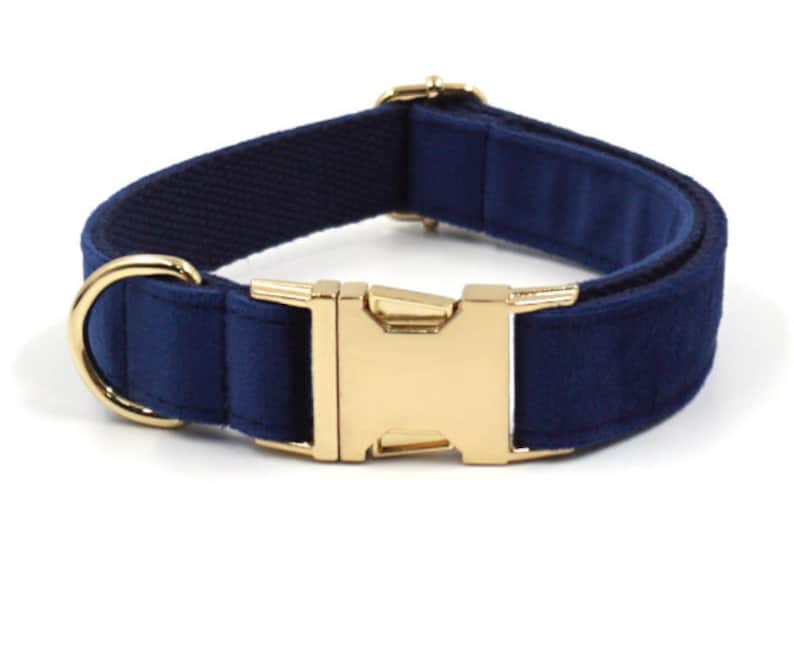 Custom Navy Blue Gold Personalised Dog Combo
