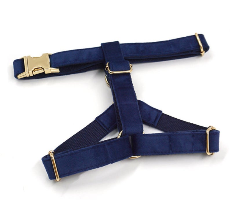 Custom Navy Blue Gold Personalised Dog Combo