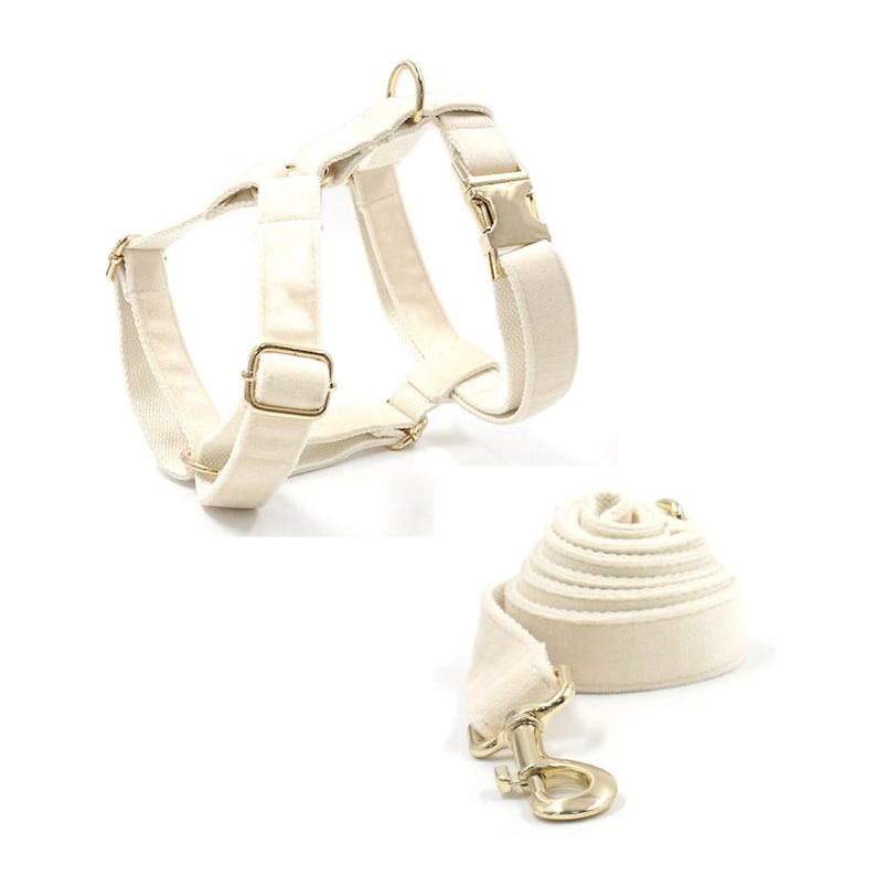 Cream White Dog Matching Combo Set