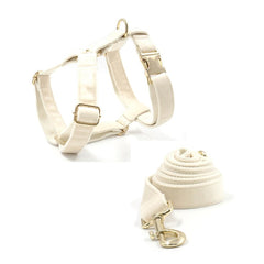 Cream White Dog Matching Combo Set