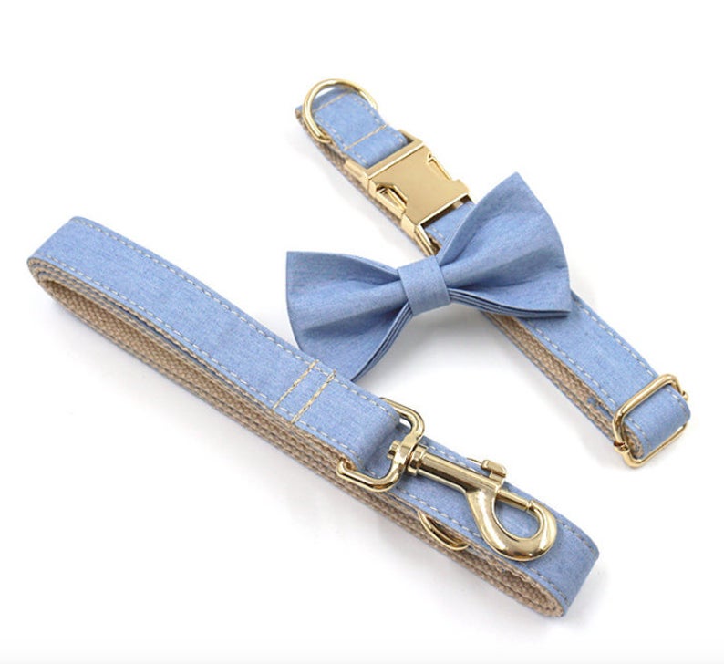 Light Jean Personalised Dog Collar Combo
