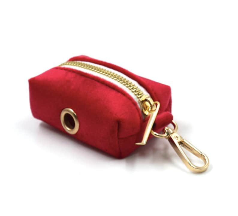 Red and Gold Personalised Dog Matching Combo