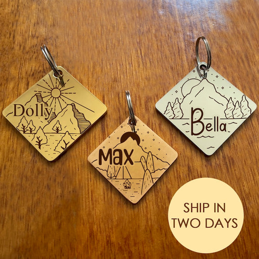 Customised Stainless Steel Pet ID Tag - Personalised with Your Pet's Name and Contact - Front and Back Engraving for Dogs and Cats