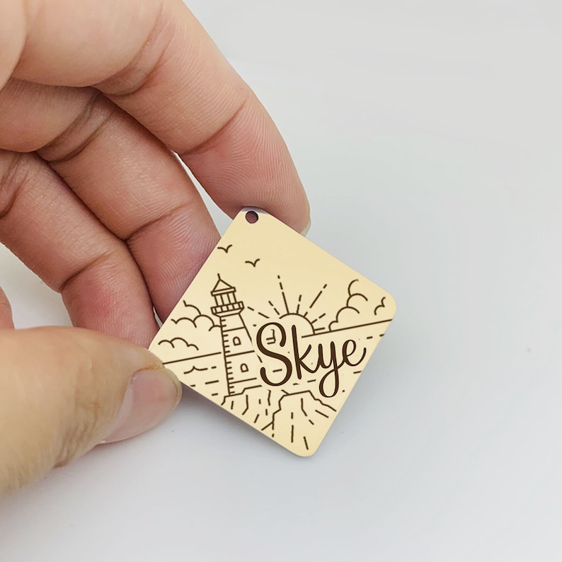 Customised Stainless Steel Pet ID Tag - Personalised with Your Pet's Name and Contact - Front and Back Engraving for Dogs and Cats