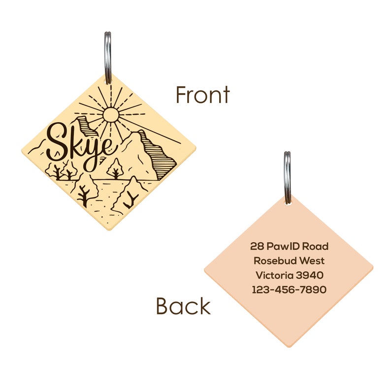 Customised Stainless Steel Pet ID Tag - Personalised with Your Pet's Name and Contact - Front and Back Engraving for Dogs and Cats
