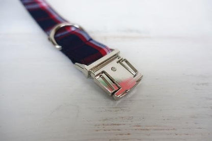 Personalised BLUE PLAID Dog Collar Set