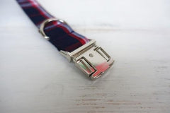 Personalized BLUE PLAID Dog Collar Set