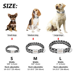 Custom Black and White Dog Collar & Leash