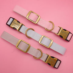 Lightweight Custom Dog Collar