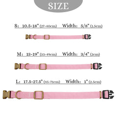 Lightweight Custom Dog Collar