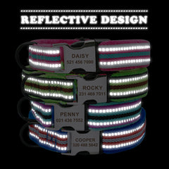 Fur Padded Reflective Custom Dog Collar and Lead