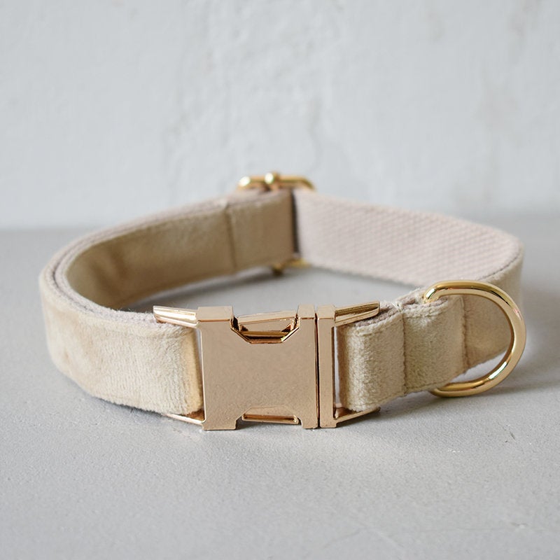 Thick Beige Velvet Dog Collar Bowtie Set