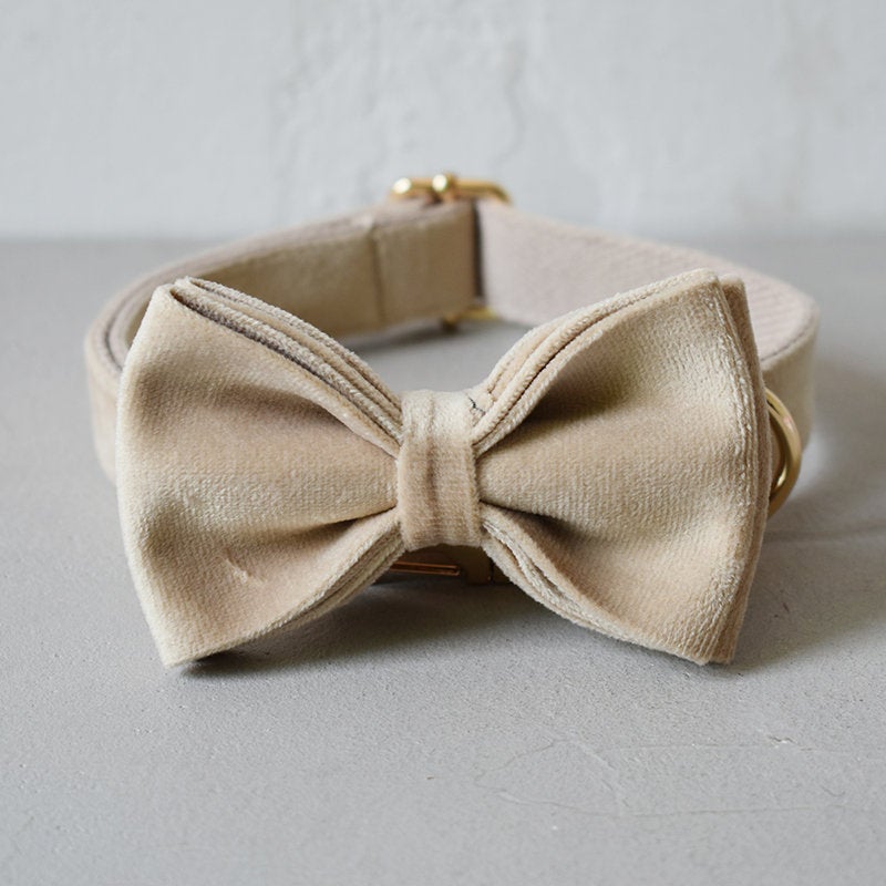 Thick Beige Velvet Dog Collar Bowtie Set
