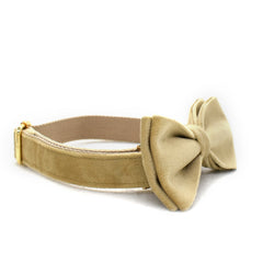 Personalized Velvet Collar Bowtie combo