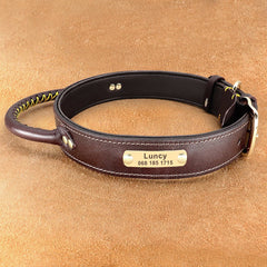 Handle Design Leather Custom Id Dog Collar