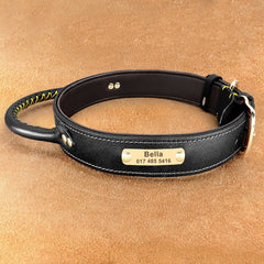 Handle Design Leather Custom Id Dog Collar