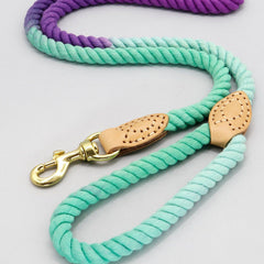 Colorful Handmade Cotton Brided Dog Leash