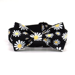 Personalized Black Daisy Custom Dog Collar Combo Set