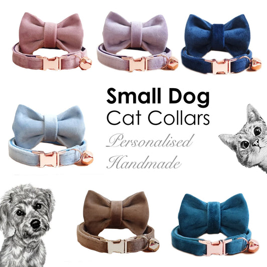 Velvet Personalised Pet collar with removable bowtie