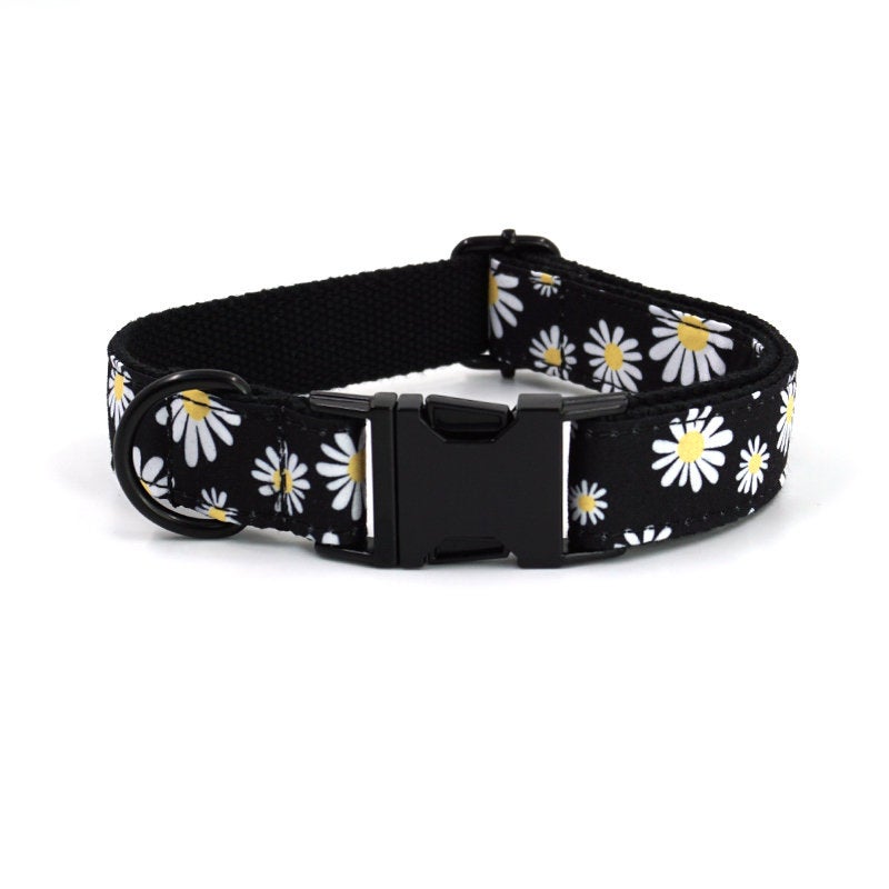 Bow Tie Personalised Black Daisy Dog Collar Set