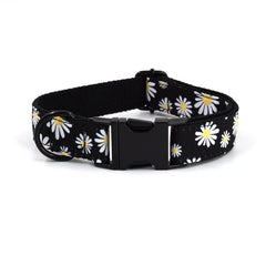 Personalized Black Daisy Custom Dog Collar Combo Set