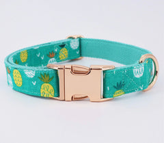Pineapple Custom Dog Collar lead set