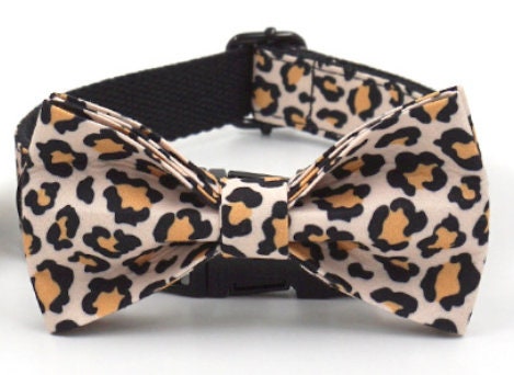 Personalised Brown Leopard Dog Collar or Dog Collar and Lead, Harness Set