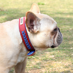 Genuine Leather Custom Id Dog Collar