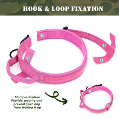 Military Dog Collar With Name Tag