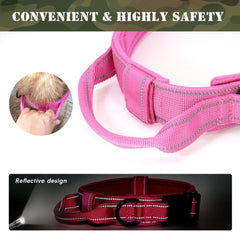 Military Dog Collar With Name Tag