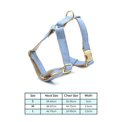 Light Jean Personalised Dog Collar Combo