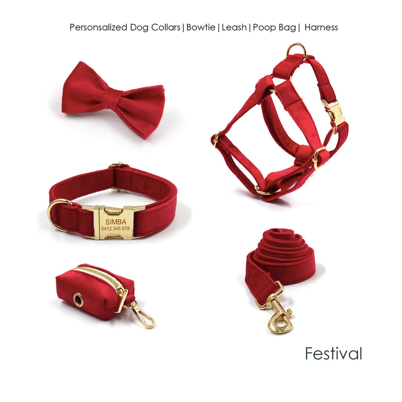 Red and Gold Personalized Dog Matching Combo